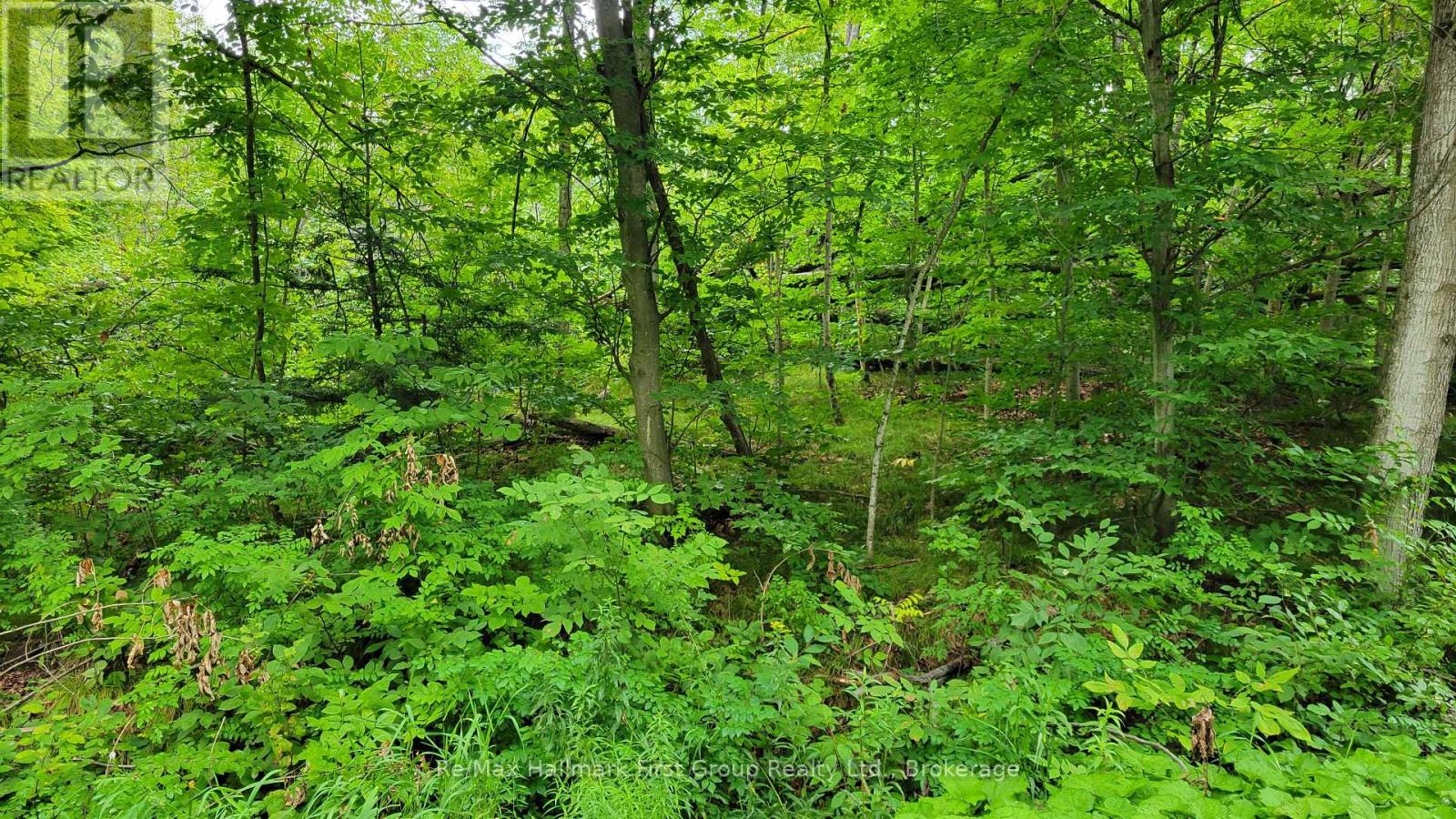 0 Black River Road N, Tweed, Ontario  K0K 3J0 - Photo 10 - X13731520