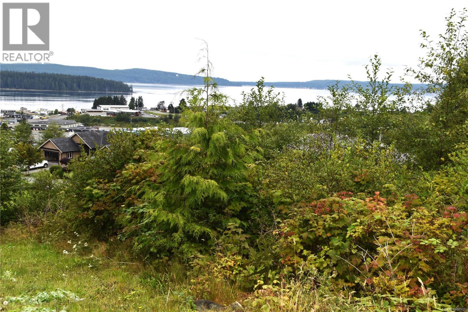 648 Betts Blvd, Port Mcneill, British Columbia  V0N 2R0 - Photo 3 - 1048908