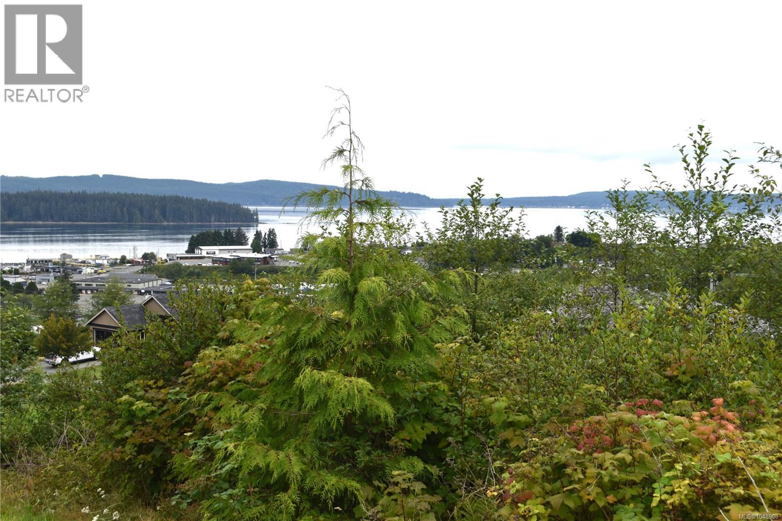 648 Betts Blvd, Port Mcneill, British Columbia  V0N 2R0 - Photo 7 - 1048908
