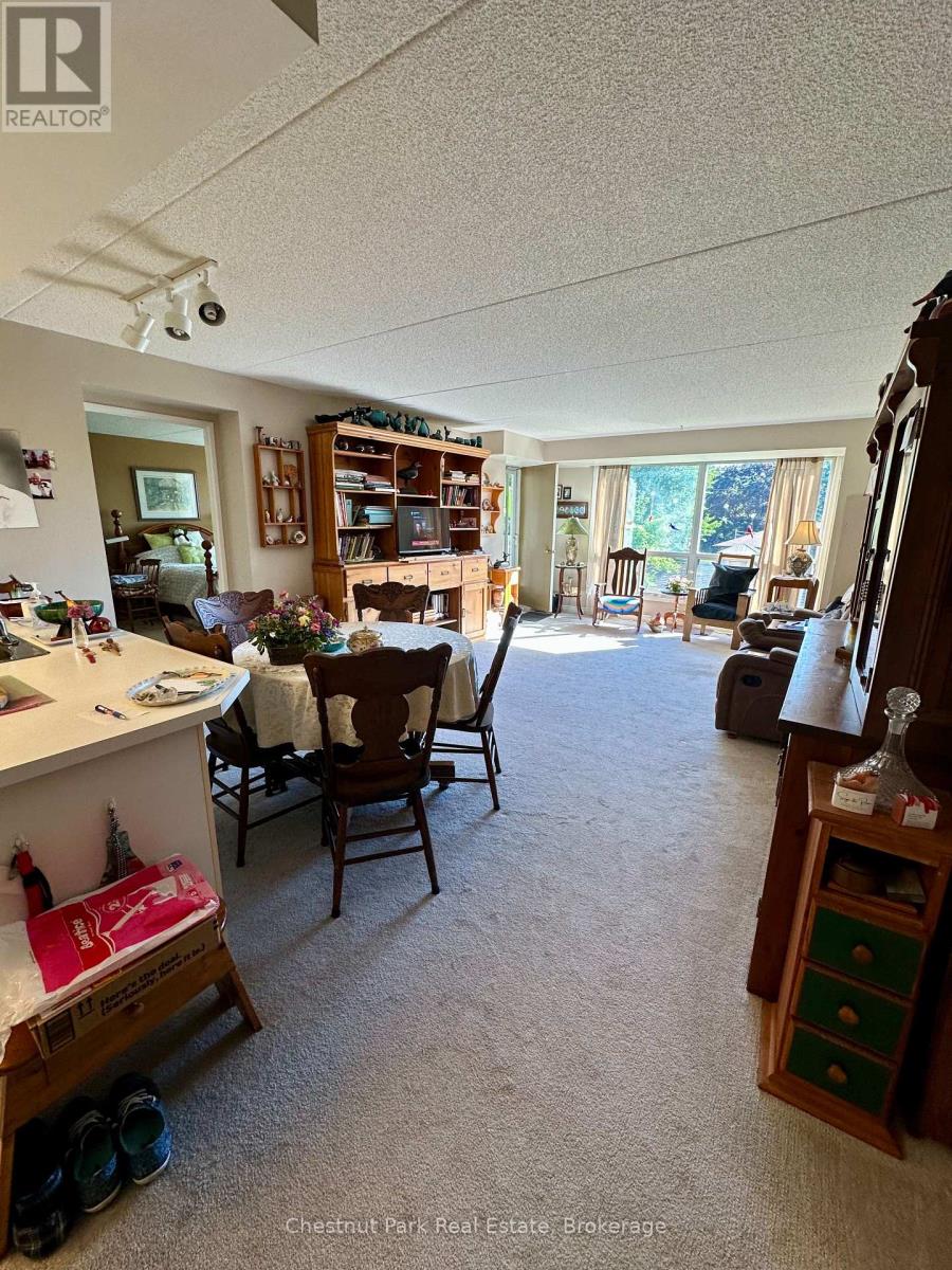 209 - 172 Eighth Street, Collingwood, Ontario  L9Y 4T2 - Photo 3 - S13756408