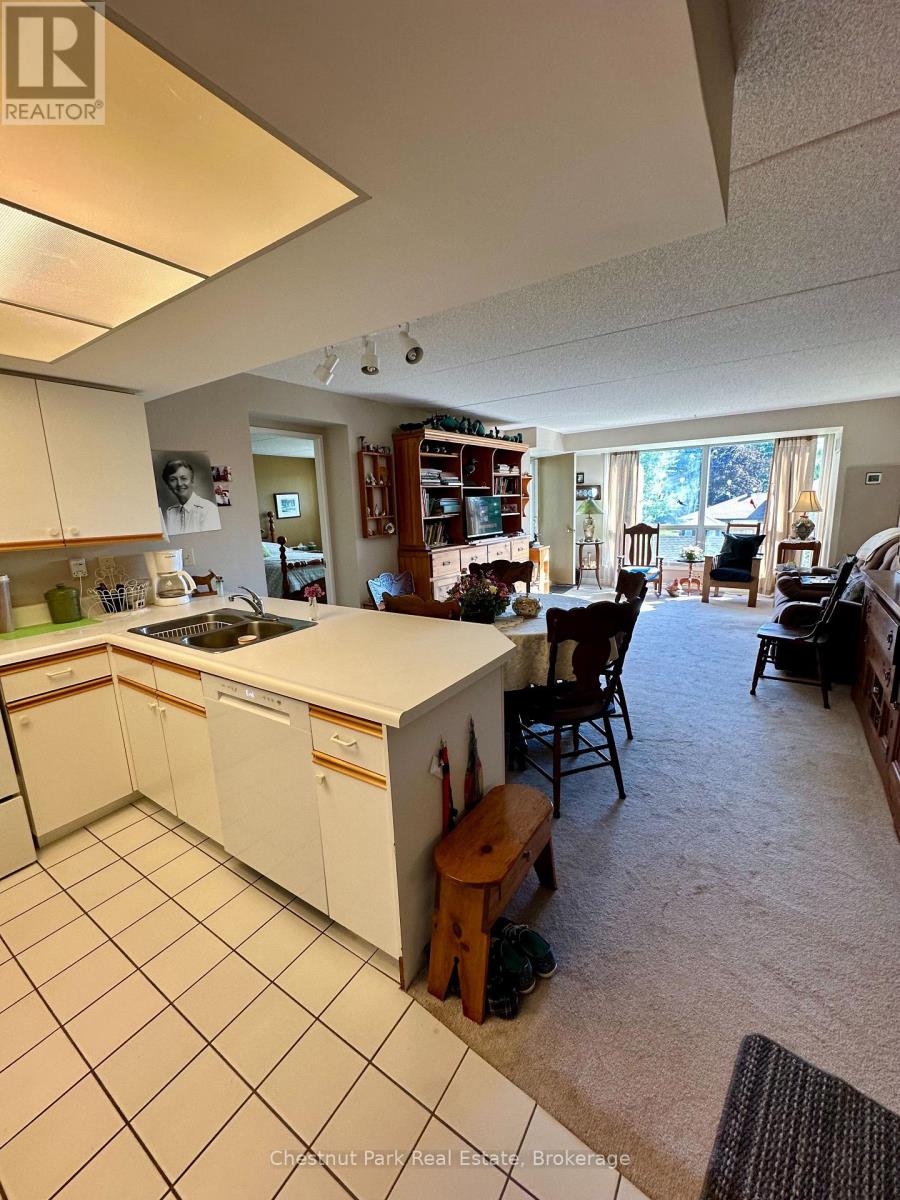 209 - 172 Eighth Street, Collingwood, Ontario  L9Y 4T2 - Photo 4 - S13756408