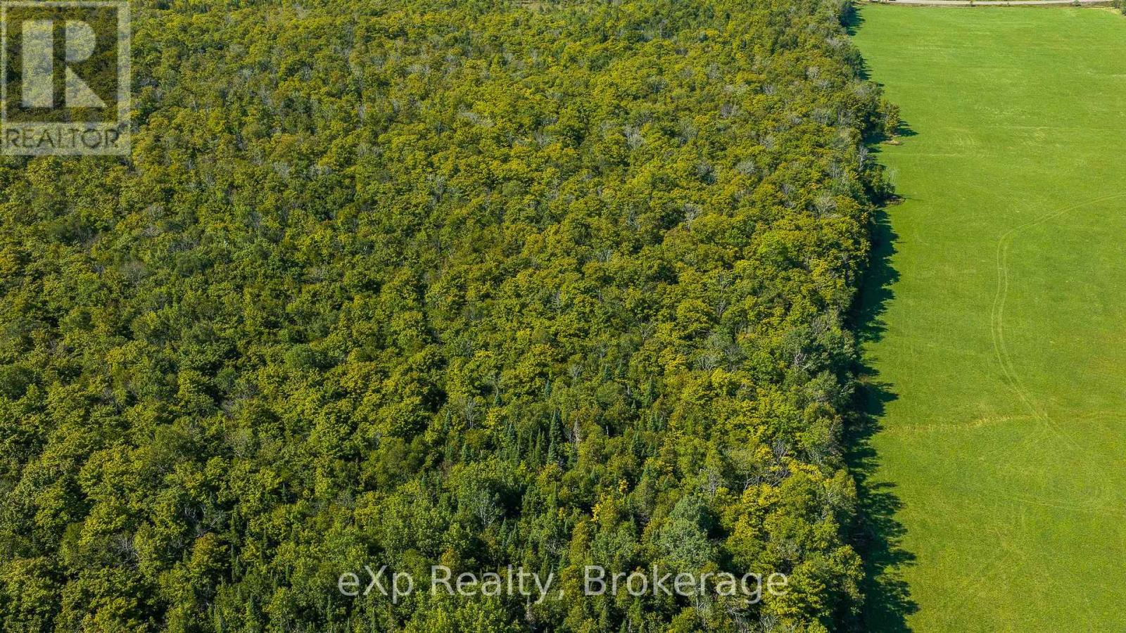 Pt Lt 2-3 Con 9, Bruce Rd 9, South Bruce Peninsula, Ontario  N0H 2T0 - Photo 8 - X13756288