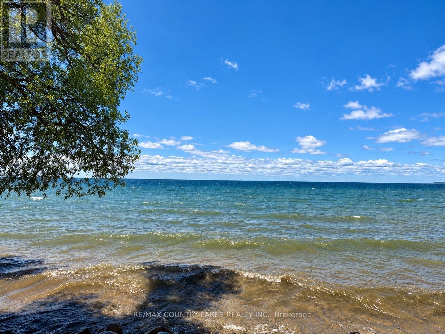 25630 Maple Beach Road, Brock, Ontario  L0K 1A0 - Photo 6 - N13756258
