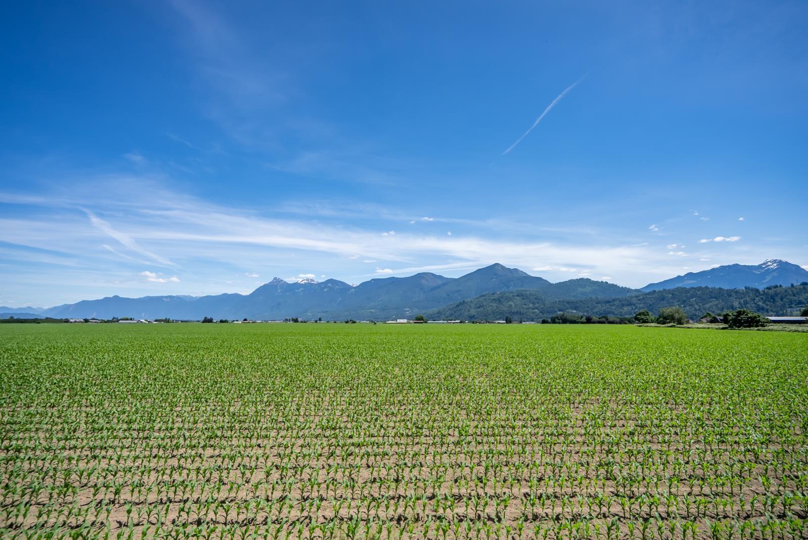 97 46213 Hakweles Road, Sardis East Vedder, Chilliwack, British Columbia  V4Z 0C6 - Photo 36 - R3162497