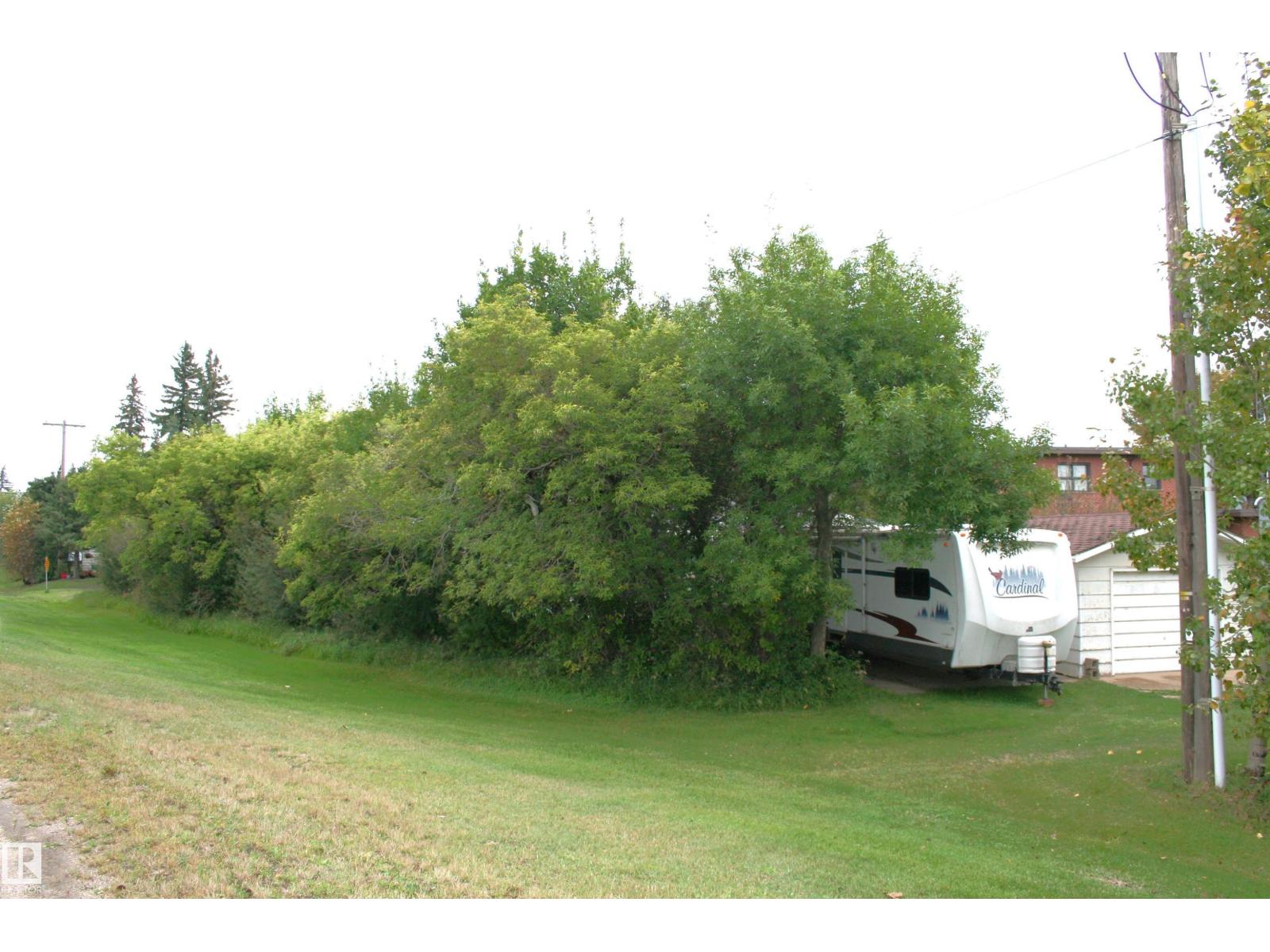 5219 52 Ave, Viking, Alberta  T0B 4N0 - Photo 48 - E4507575