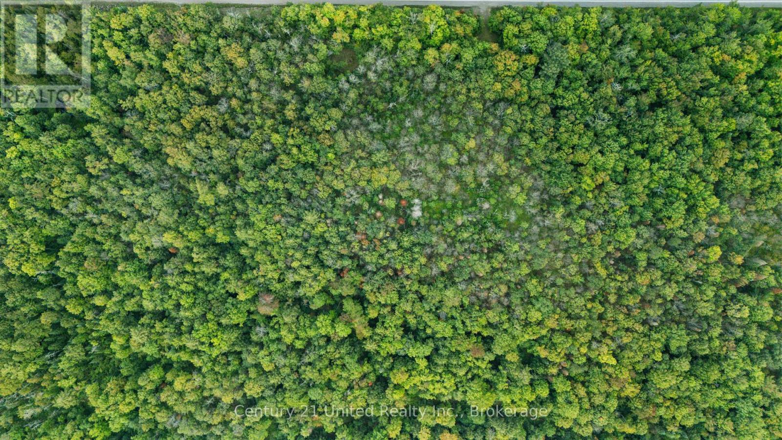 456 COUNTY ROAD 620, North Kawartha, Ontario