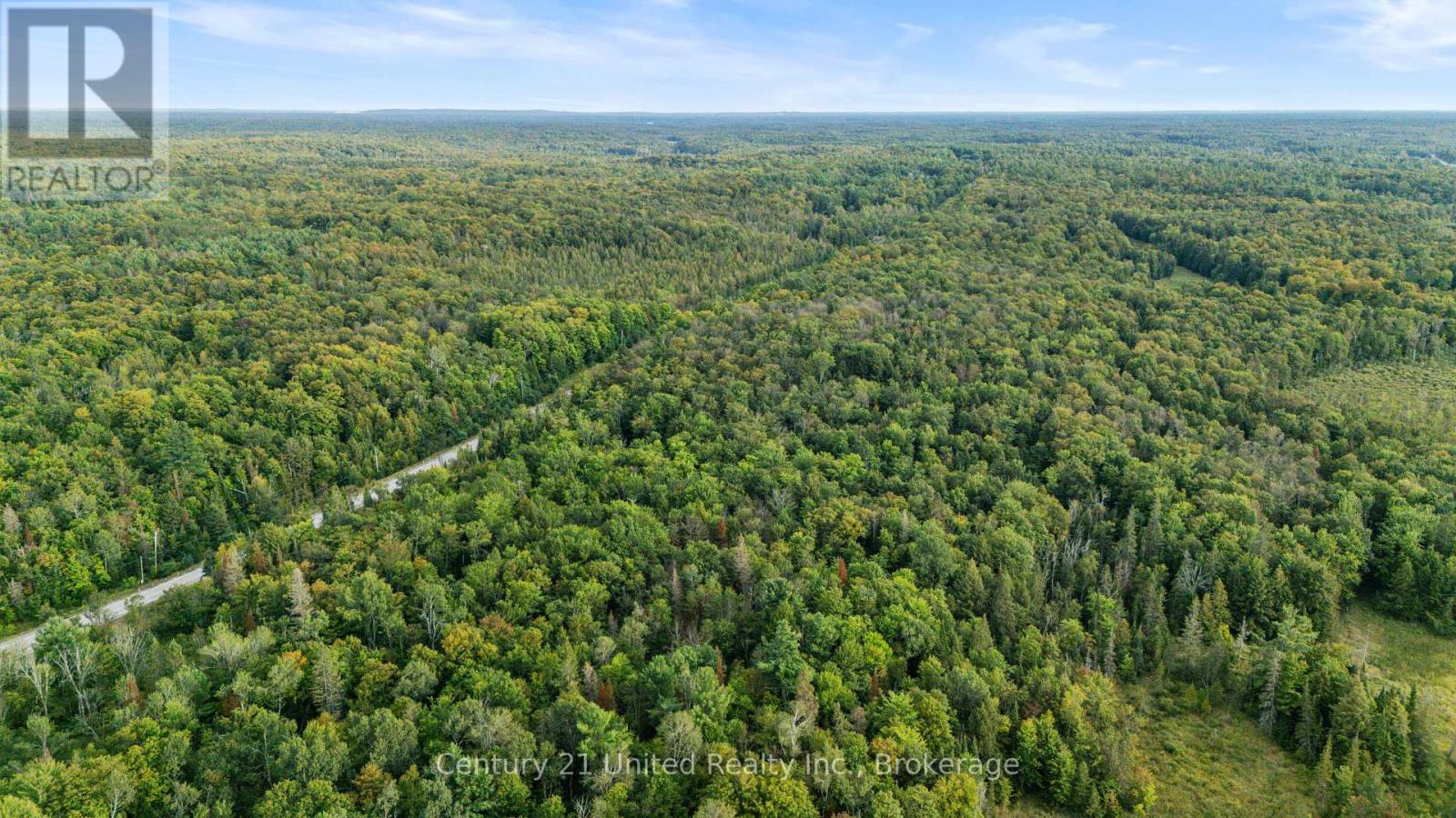 456 County Road 620, North Kawartha, Ontario  K0L 1A0 - Photo 8 - X13756784