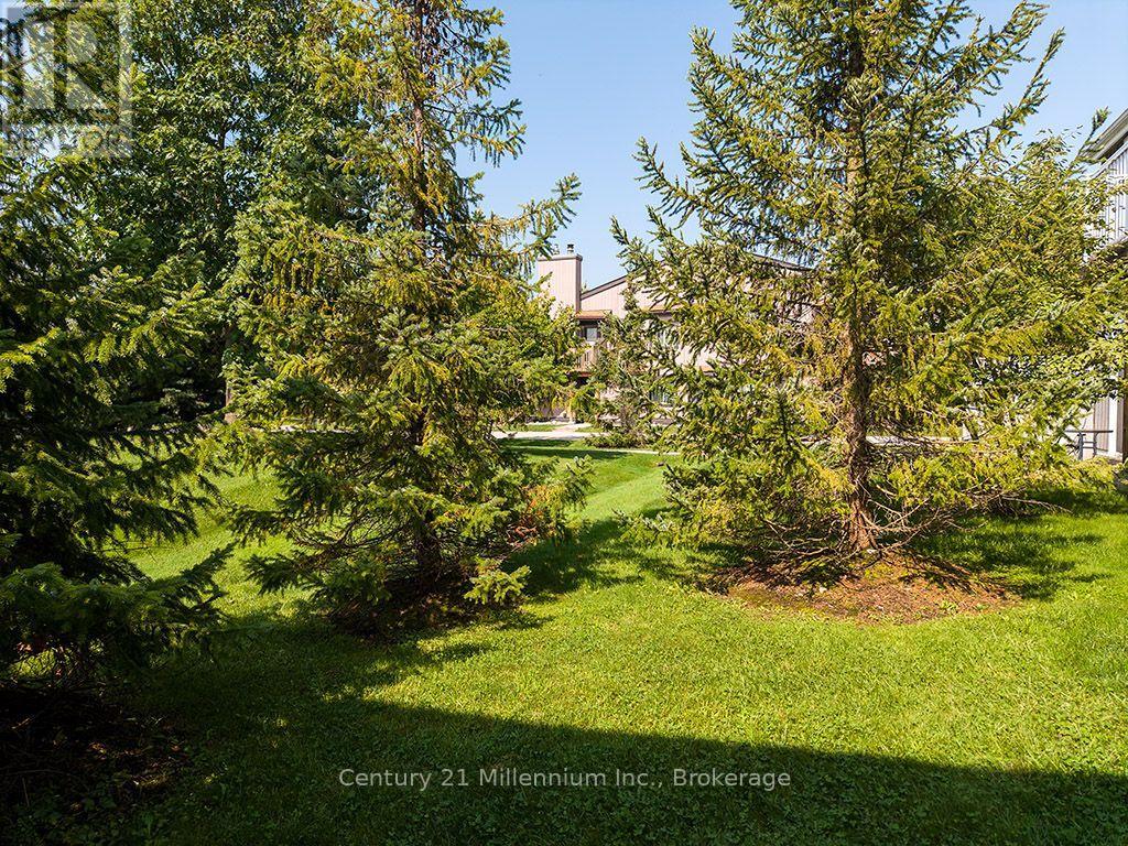 68 - 19 Dawson Drive, Collingwood, Ontario  L9Y 5B4 - Photo 13 - S13756960