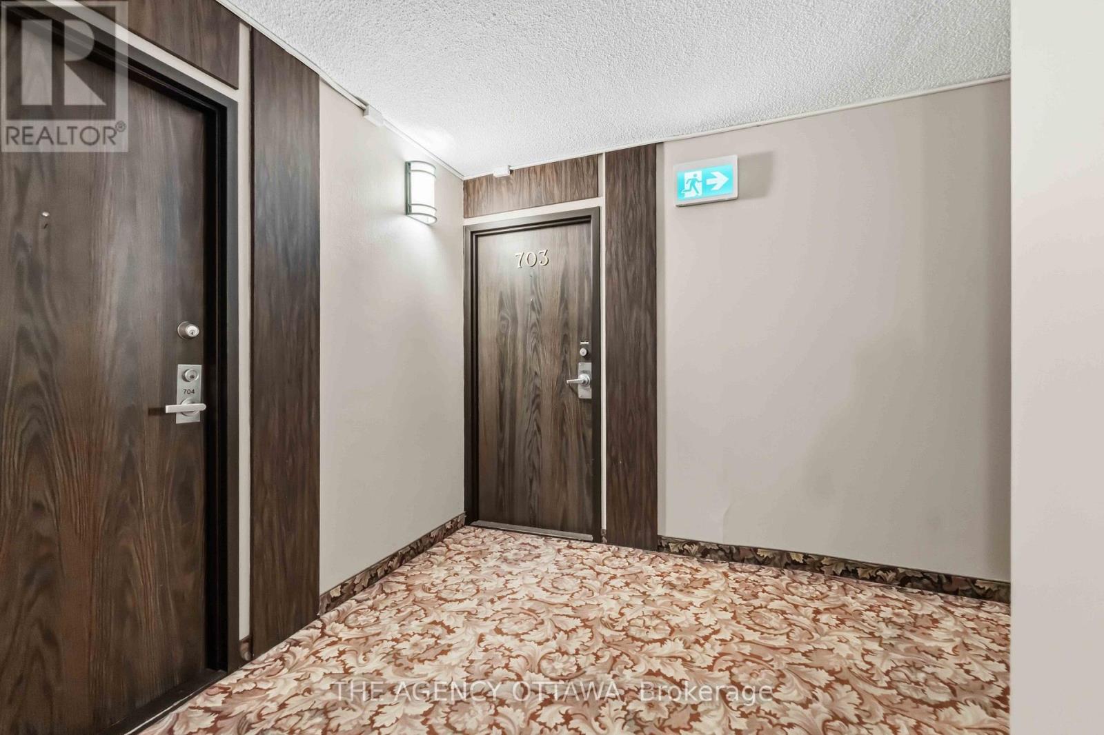 703 - 1785 Frobisher Lane, Ottawa, Ontario  K1G 3T7 - Photo 5 - X13536378