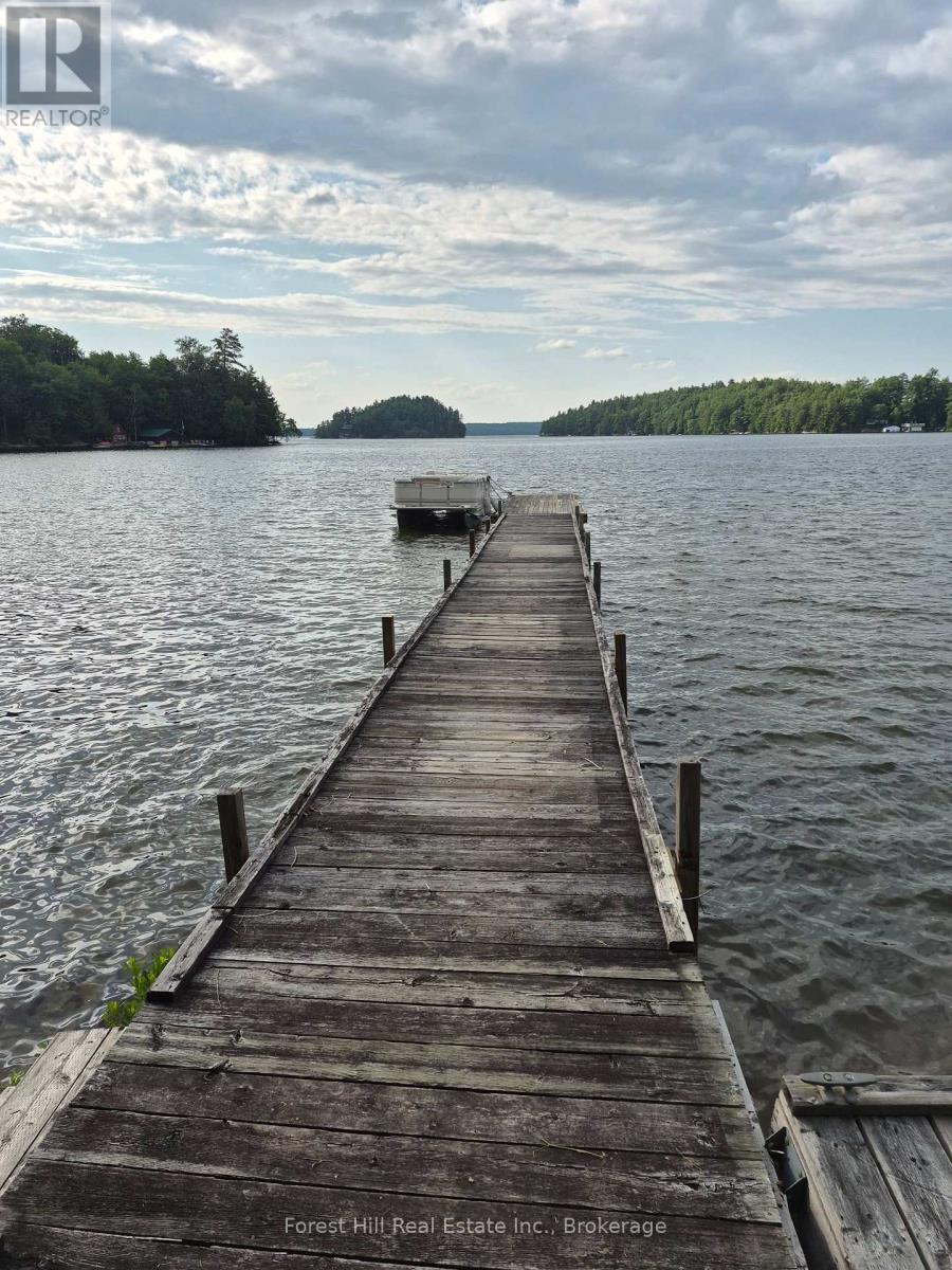 1255 Skeleton Lake 2 Road, Muskoka Lakes (Watt), Ontario  P0G 1G0 - Photo 3 - X13756924