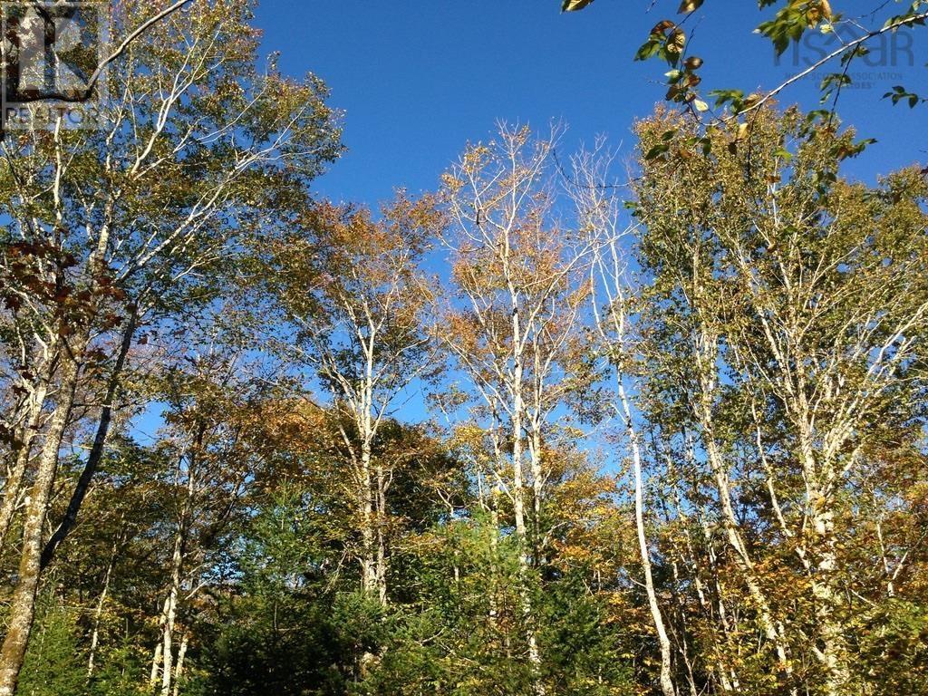 Lots Robert Drive, Ellershouse, Nova Scotia