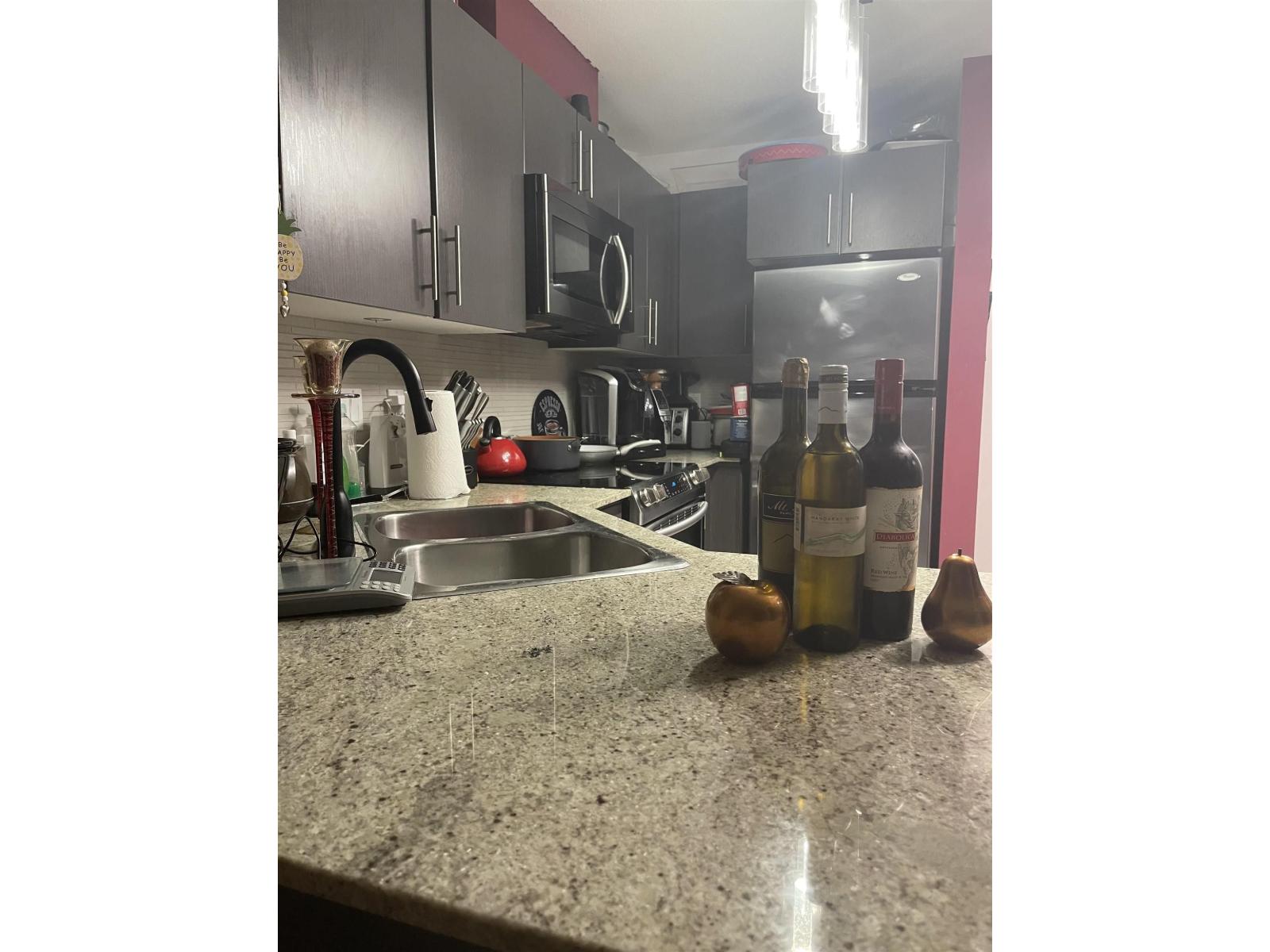 203 8915 202 Street, Langley, British Columbia  V1M 0B5 - Photo 3 - R3162667