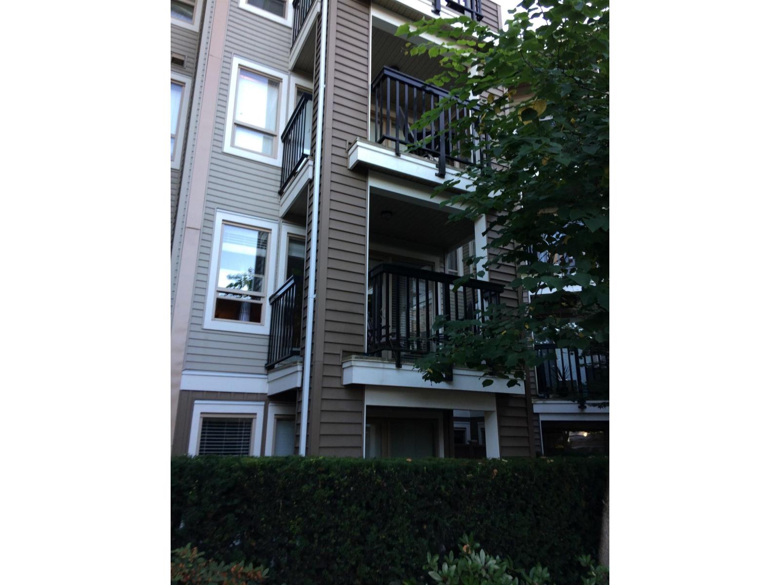 203 8915 202 Street, Langley, British Columbia  V1M 0B5 - Photo 8 - R3162667