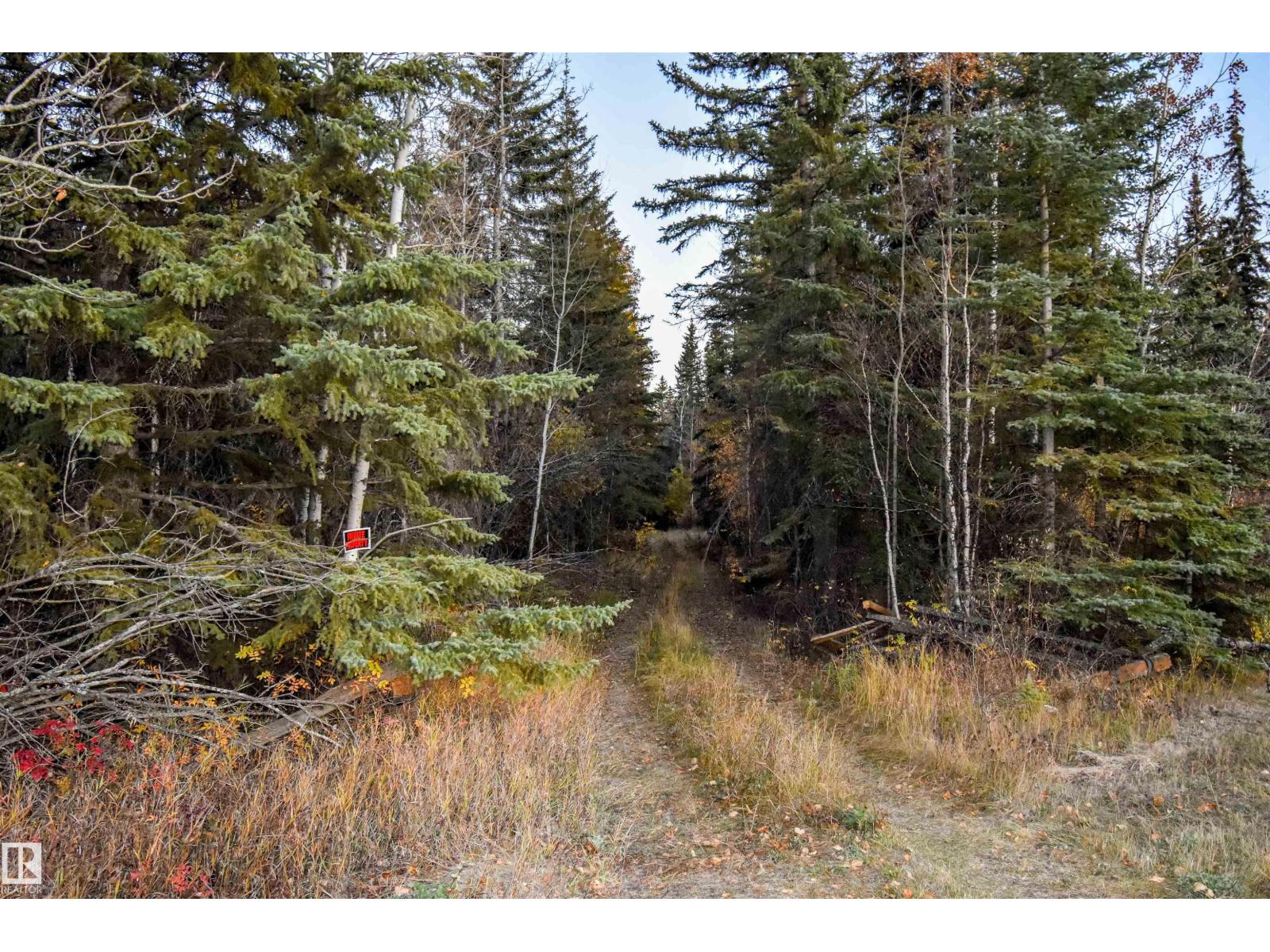Twp Rd 625 And Hwy 63, Rural Thorhild County, Alberta  T0A 2P0 - Photo 2 - E4507594