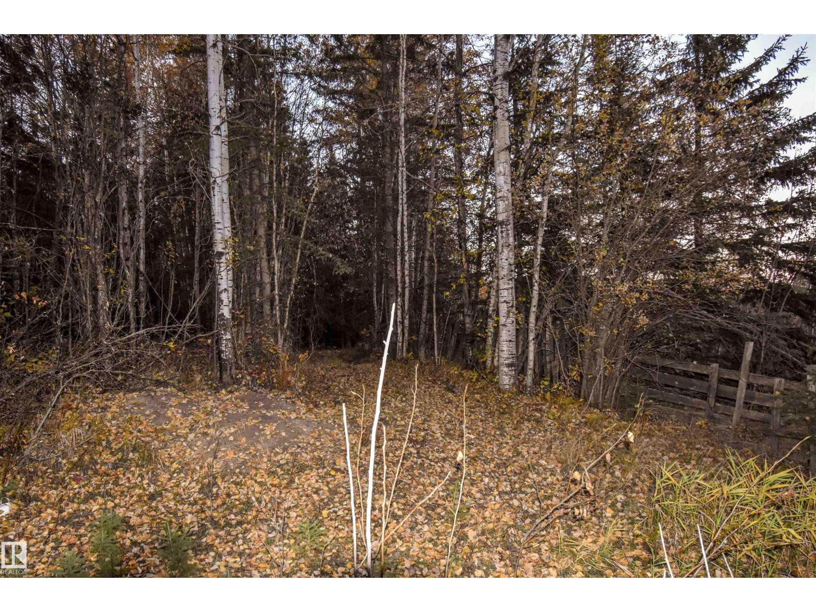 Twp Rd 625 And Hwy 63, Rural Thorhild County, Alberta  T0A 2P0 - Photo 12 - E4507594