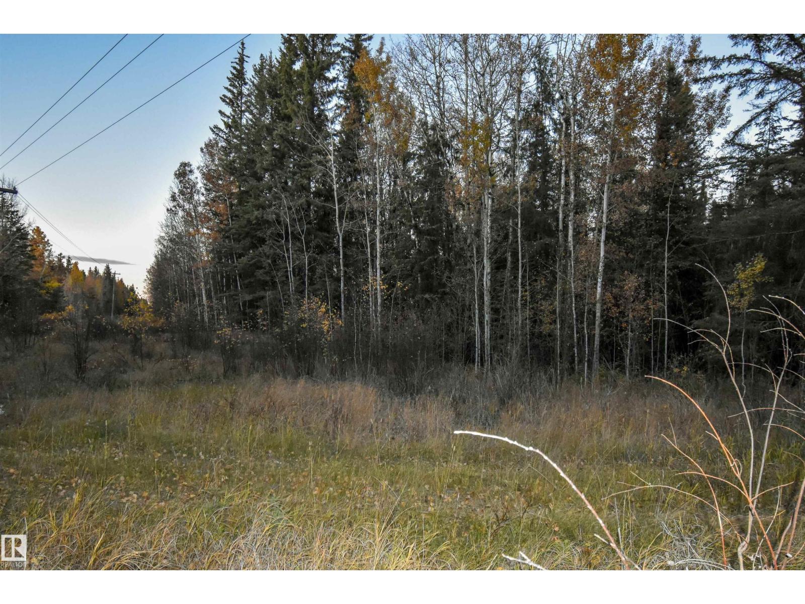 Twp Rd 625 And Hwy 63, Rural Thorhild County, Alberta  T0A 2P0 - Photo 7 - E4507594