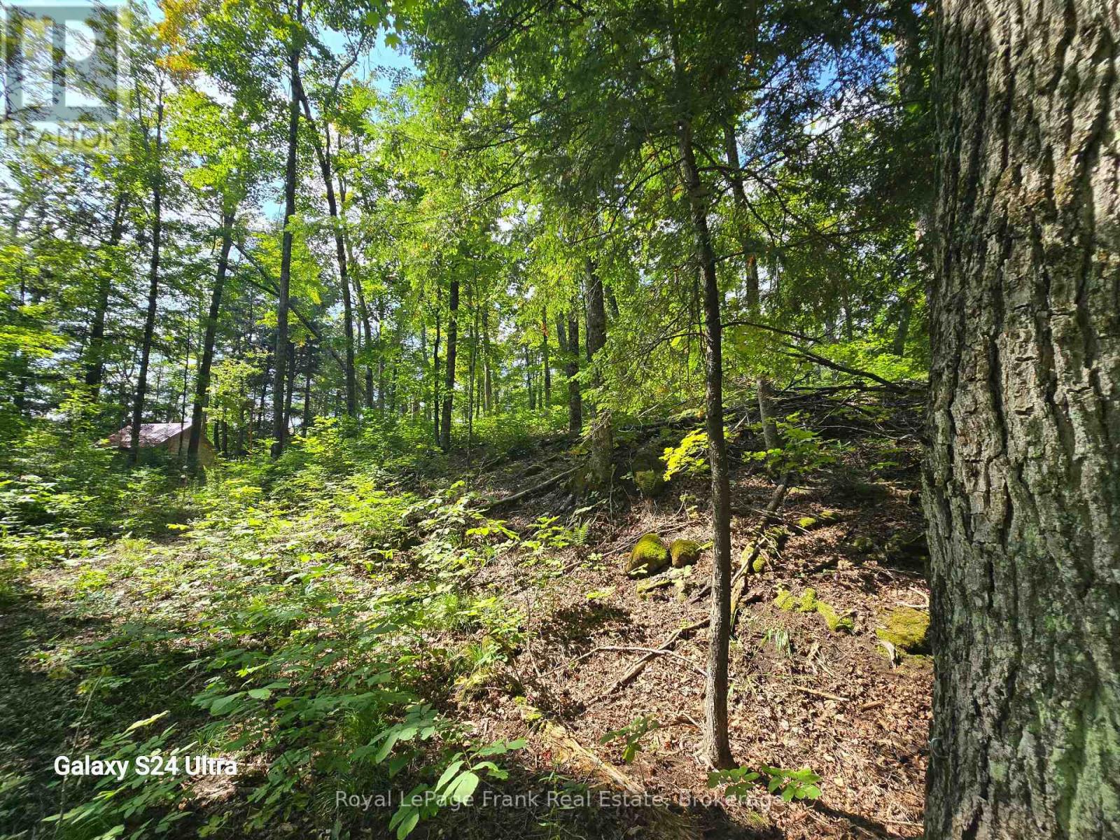 Pt Lt 17-18 County Road 507, Trent Lakes, Ontario  K0L 1J0 - Photo 1 - X13757286