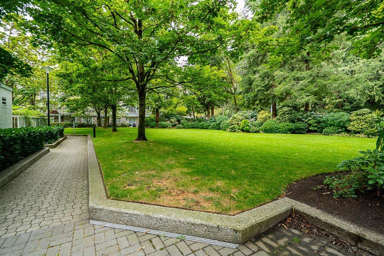 2304 10082 148 Street, Surrey, British Columbia  V3R 0S3 - Photo 35 - R3162700