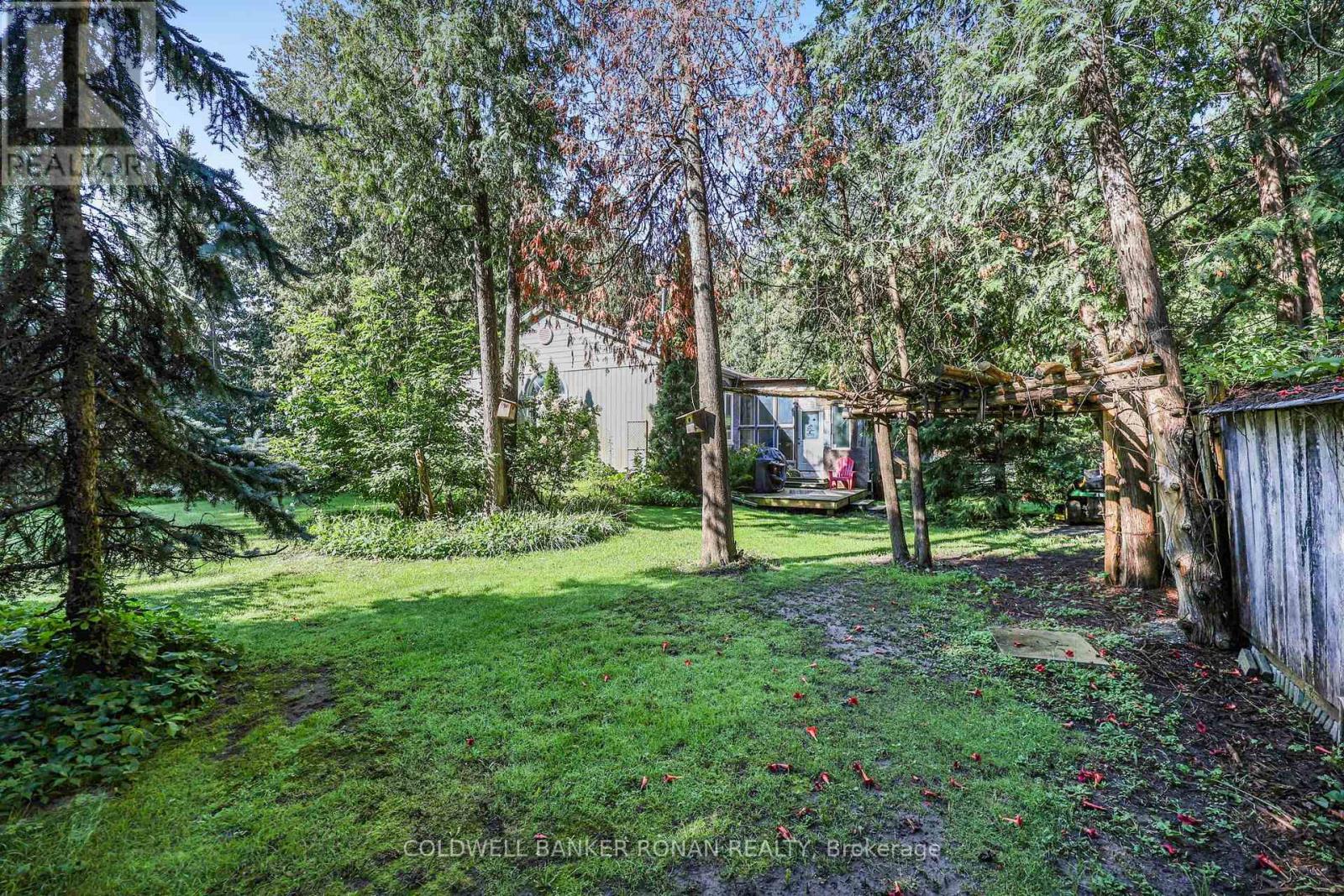 7602 25th Sideroad, Adjala-Tosorontio, Ontario  L9R 1V4 - Photo 29 - N13756938