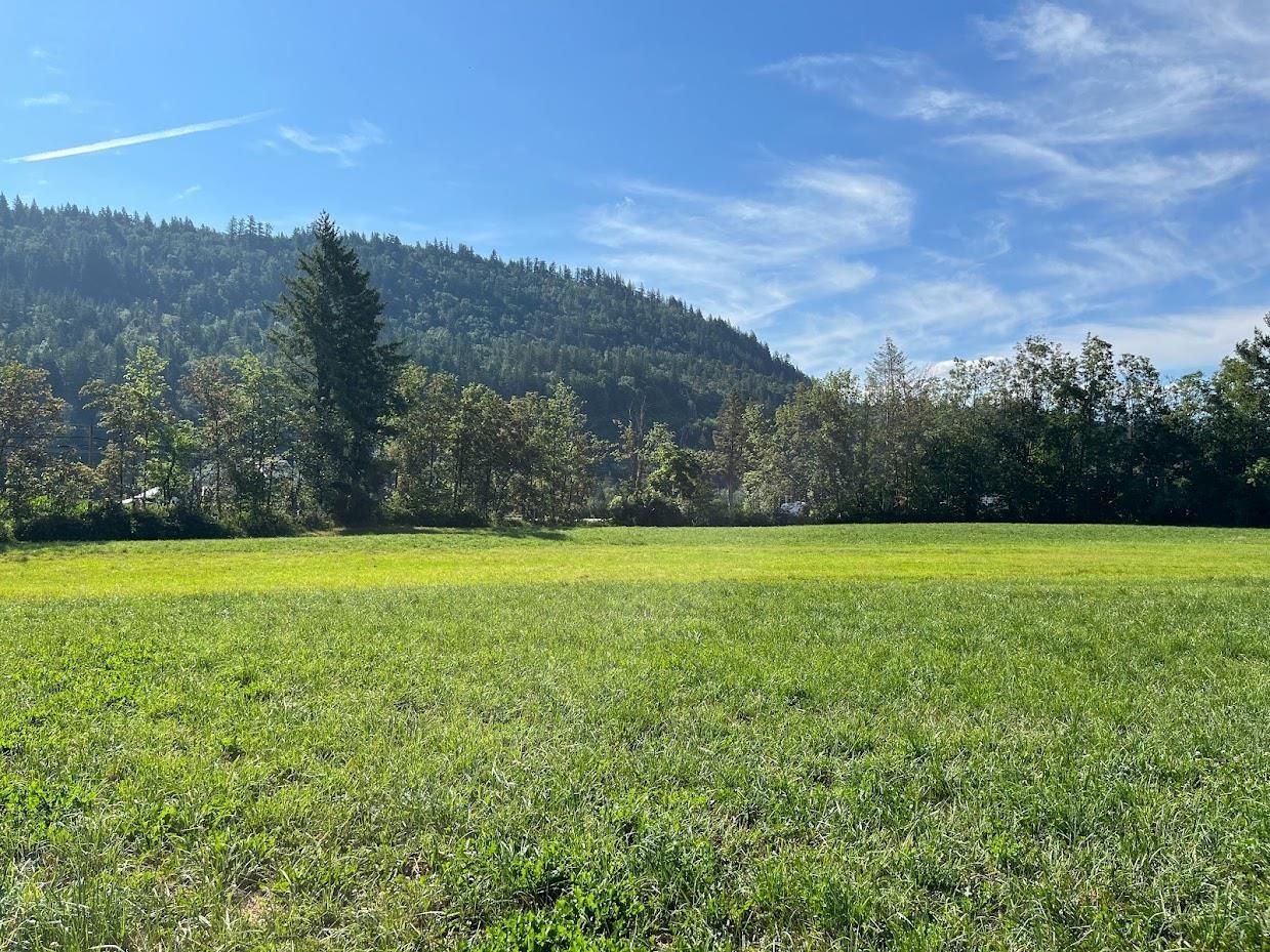 3705 Hot Springs Road, Agassiz, Agassiz, British Columbia  V0M 1A3 - Photo 4 - R3162200