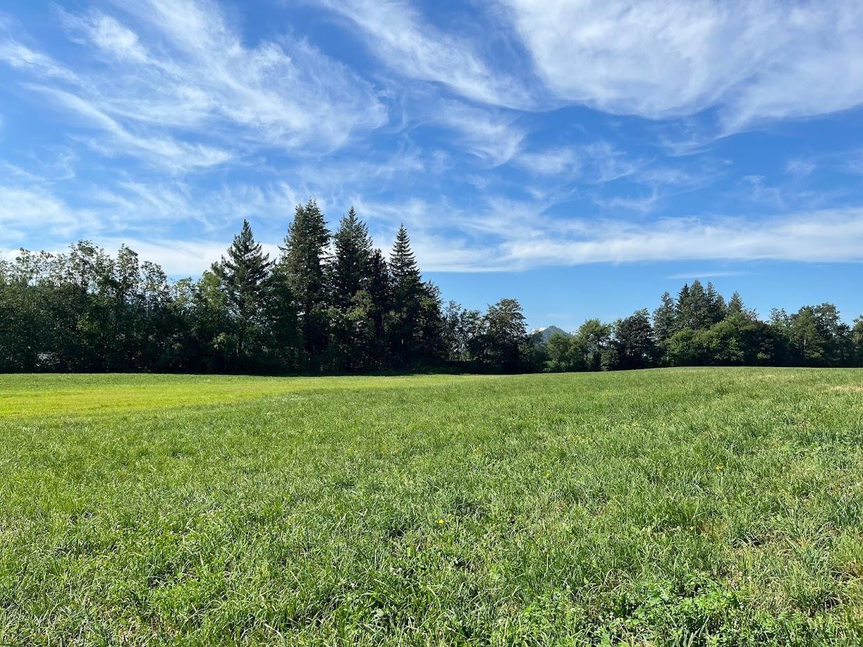 3705 Hot Springs Road, Agassiz, Agassiz, British Columbia  V0M 1A3 - Photo 7 - R3162200