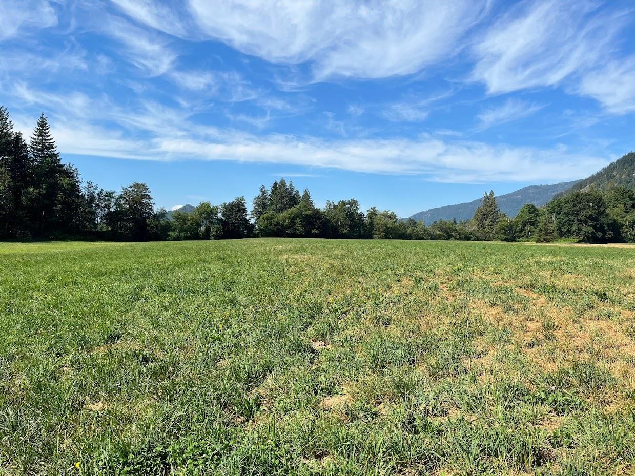 3705 Hot Springs Road, Agassiz, Agassiz, British Columbia  V0M 1A3 - Photo 5 - R3162200