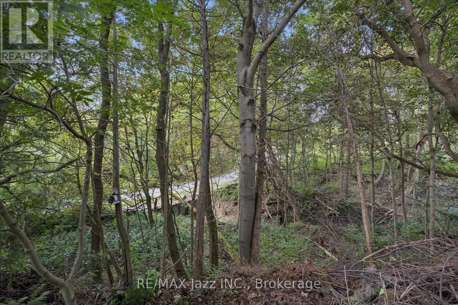 364 King Street E, Clarington, Ontario  L1C 3K5 - Photo 26 - E13755772