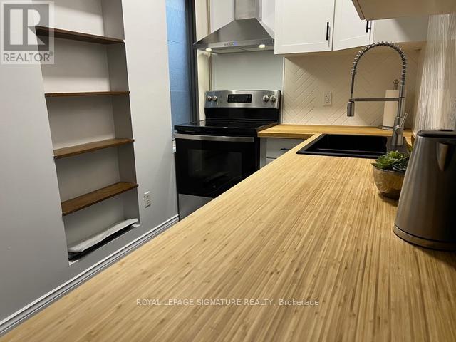 Lower - 208 Carlton Street, Toronto, Ontario M5A 2L1 - Photo 7 - C13757314