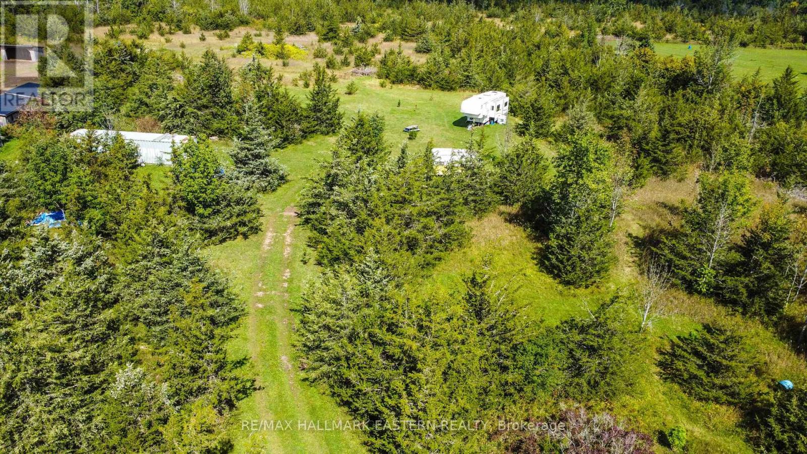2098 13th Line E, Trent Hills, Ontario  K0K 2M0 - Photo 6 - X13710630