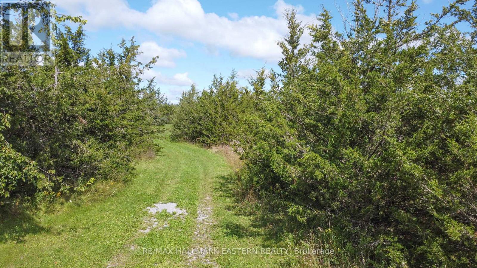 2098 13th Line E, Trent Hills, Ontario  K0K 2M0 - Photo 8 - X13710630