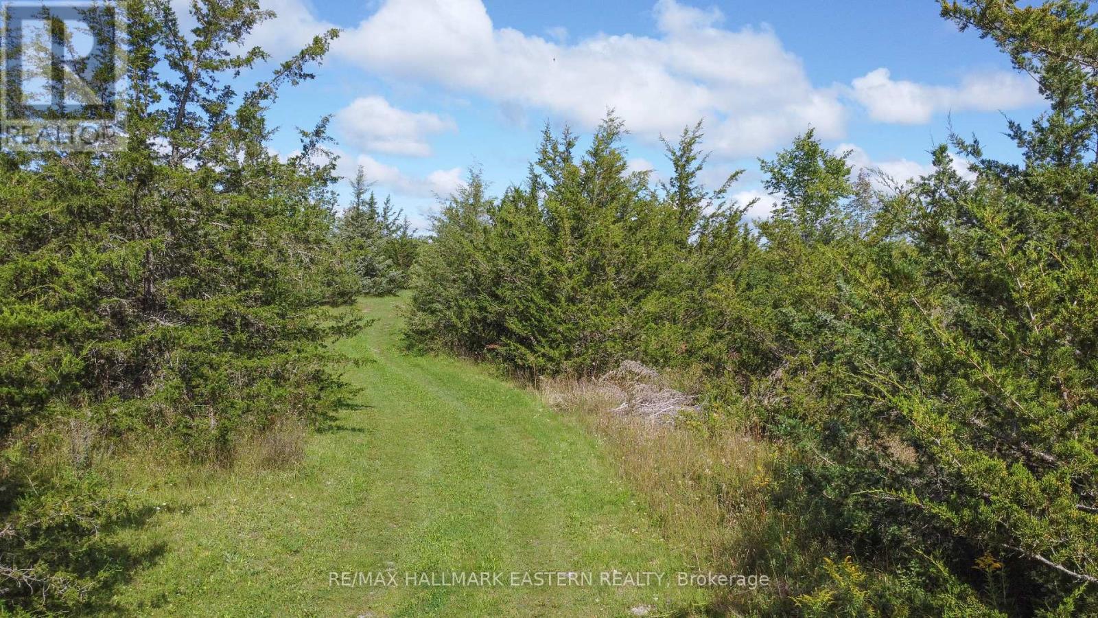 2098 13th Line E, Trent Hills, Ontario  K0K 2M0 - Photo 7 - X13710630