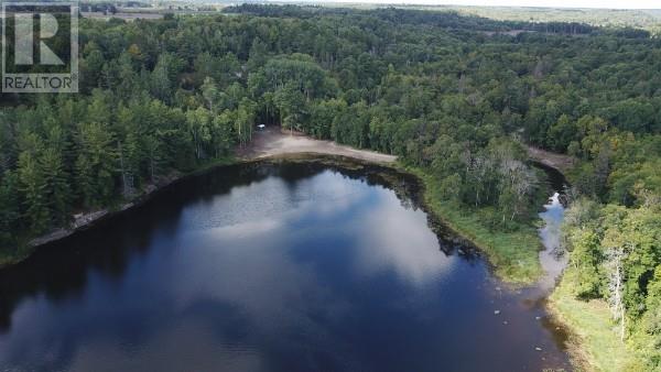 5482 Hwy 64, Noelville, Ontario  P0M 2K0 - Photo 71 - 2129291