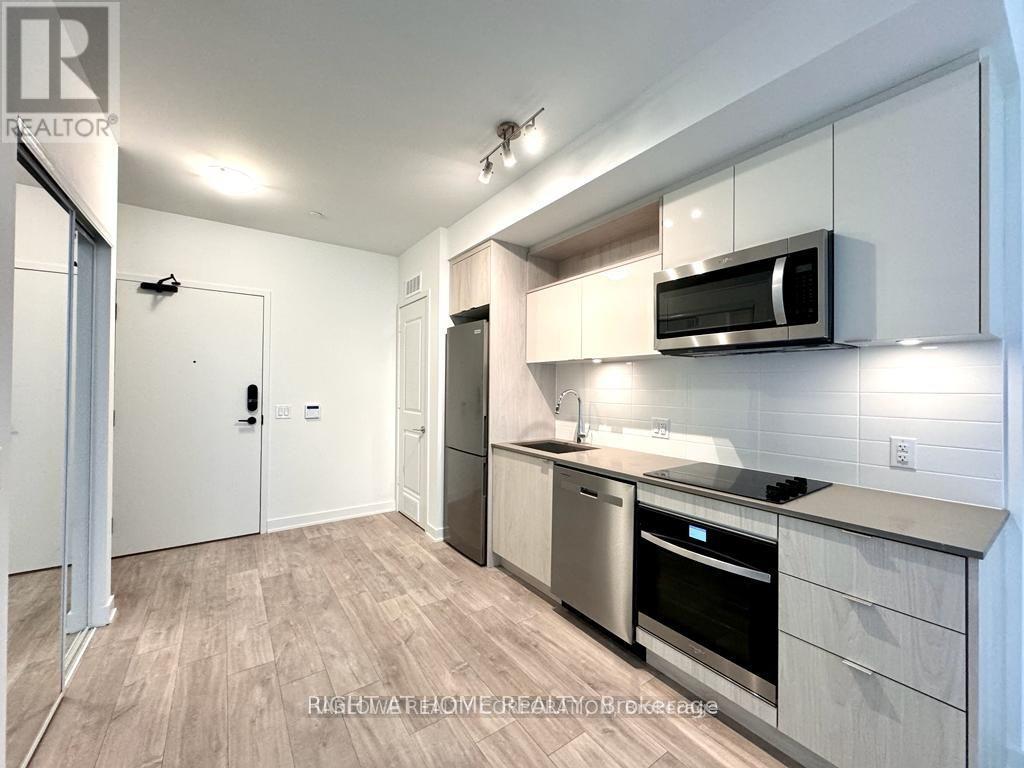 206 - 100 Dalhousie Street, Toronto, Ontario M5B 0C7 - Photo 3 - C13757682