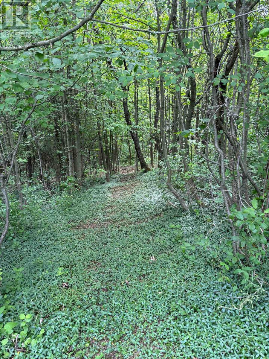 317343 3rd Line, Meaford, Ontario  N4L 1W7 - Photo 26 - X13755206