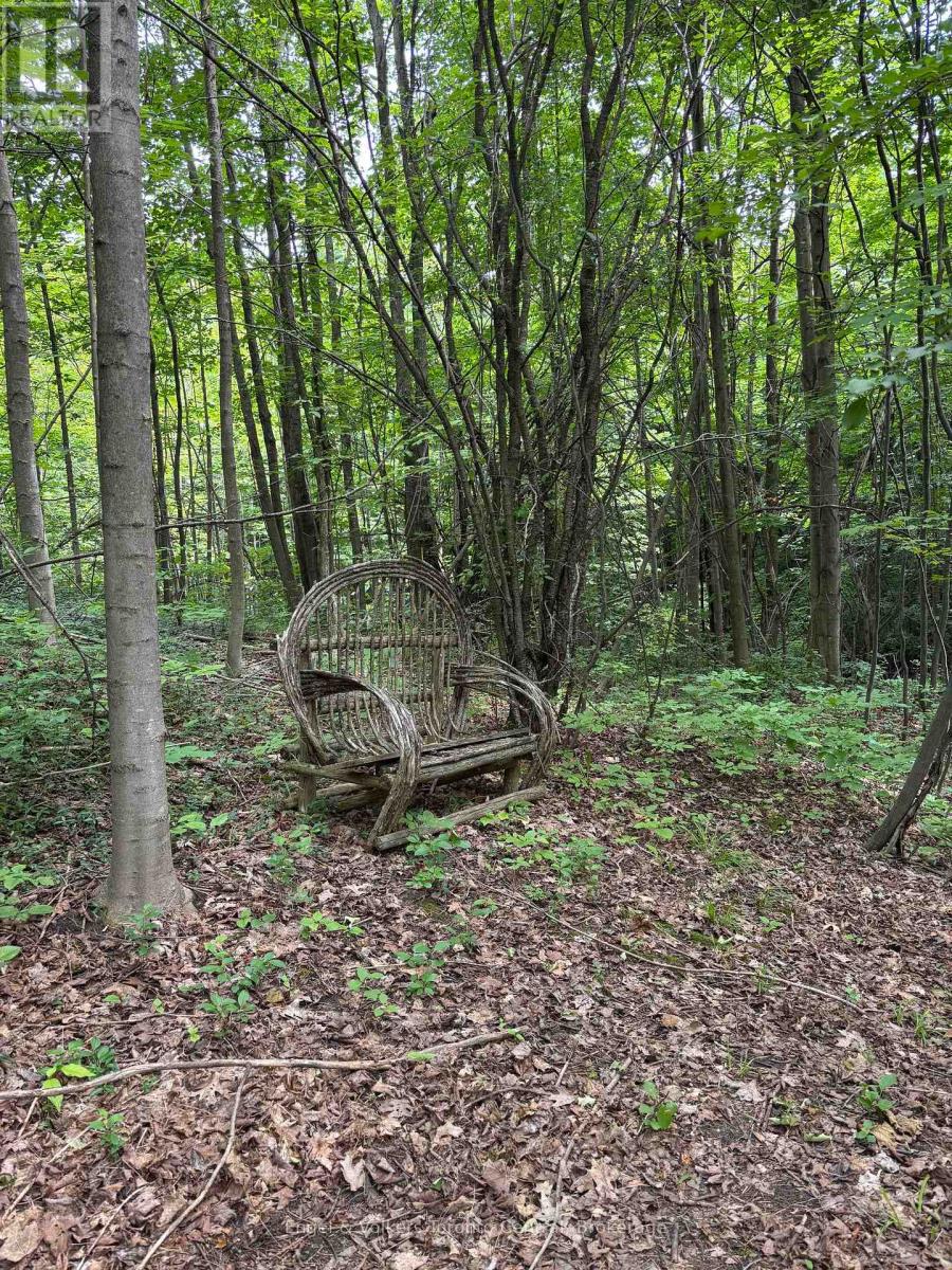 317343 3rd Line, Meaford, Ontario  N4L 1W7 - Photo 27 - X13755206