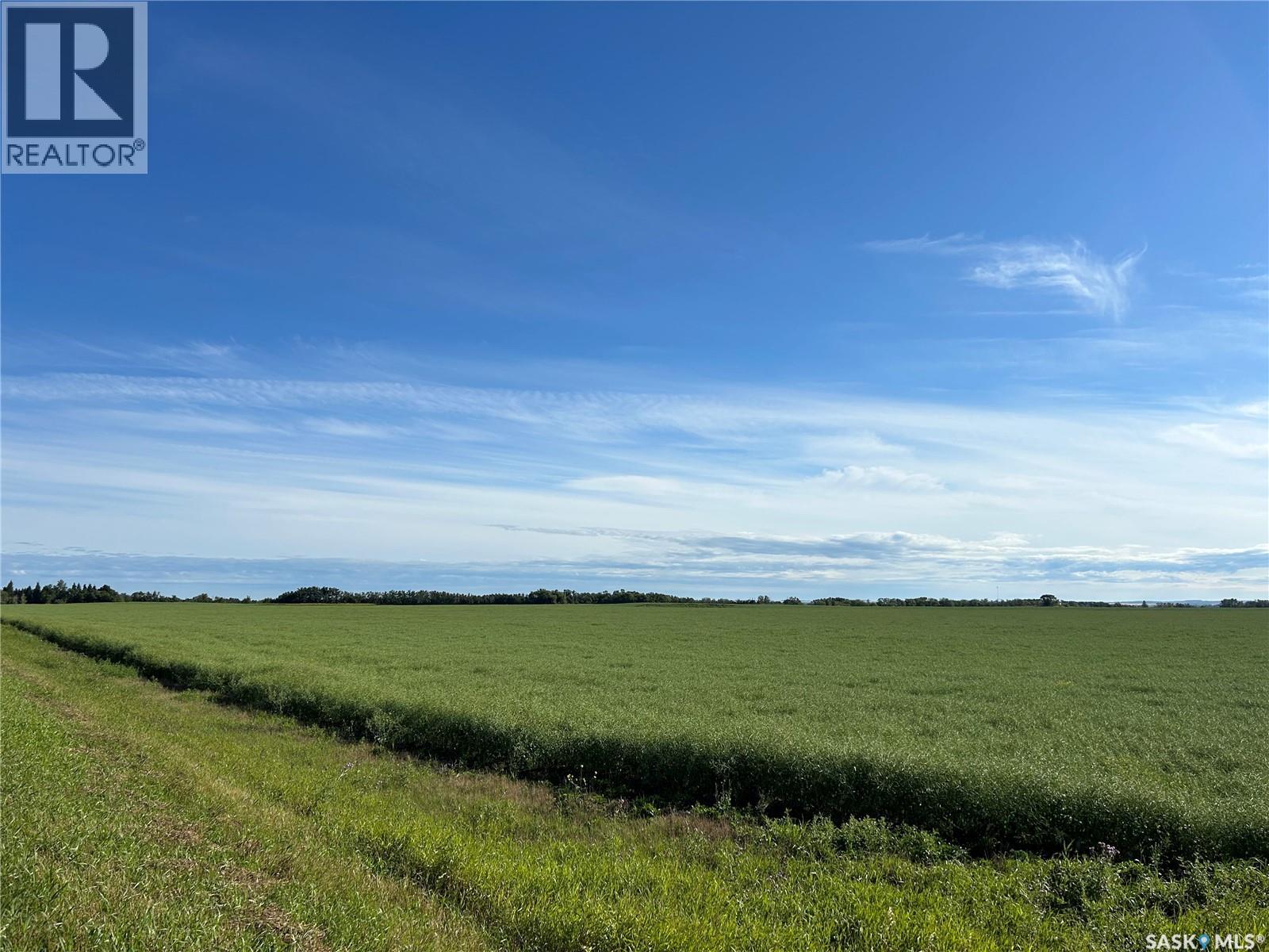 Strelioff Farm Land, Keys Rm No. 303, Saskatchewan S0A 4H0 - Photo 3 - SK047896