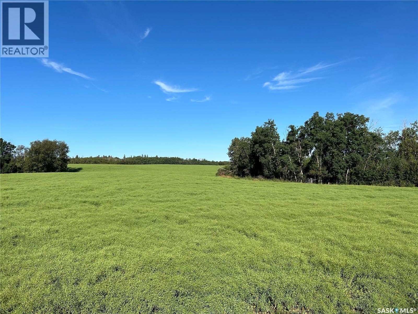 Strelioff Farm Land, Keys Rm No. 303, Saskatchewan S0A 4H0 - Photo 6 - SK047896