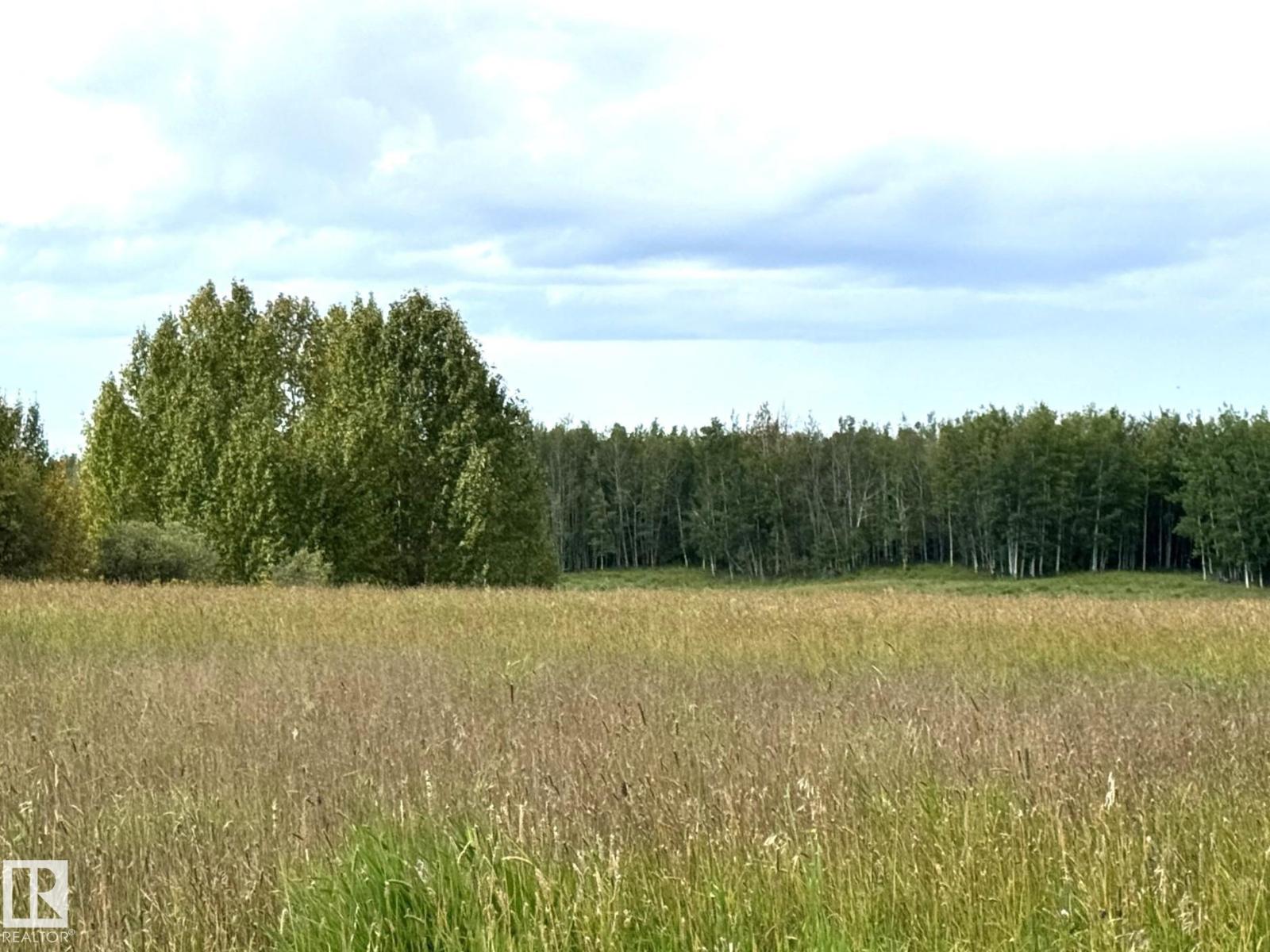 Lake Ave Rrd 62, Rural Parkland County, Alberta  T0E 0W0 - Photo 3 - E4507629