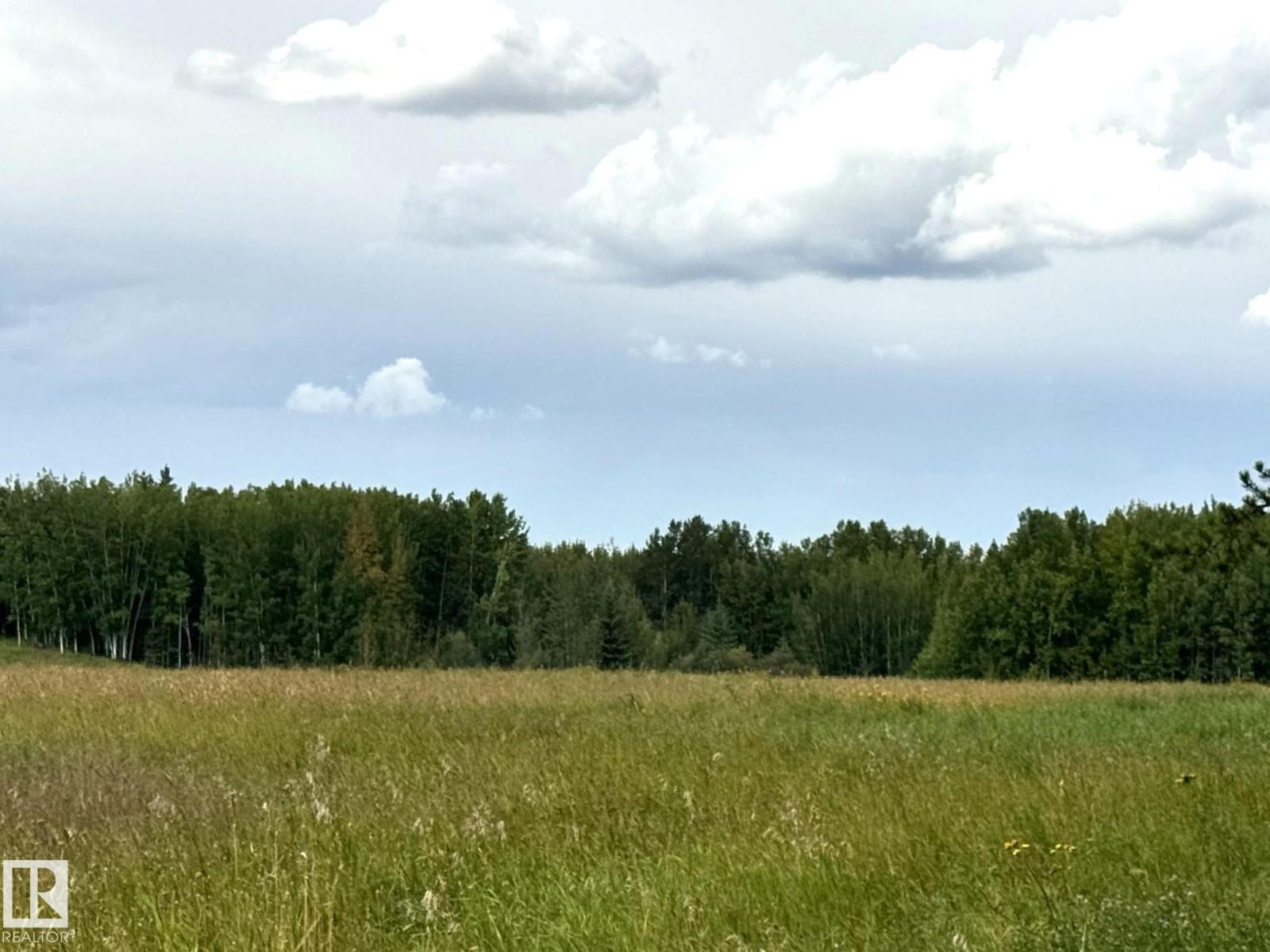 Lake Ave Rrd 62, Rural Parkland County, Alberta  T0E 0W0 - Photo 6 - E4507629
