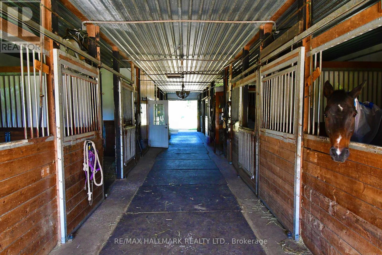 18555 Highway 12, Scugog, Ontario  L0C 1B0 - Photo 24 - E13758086