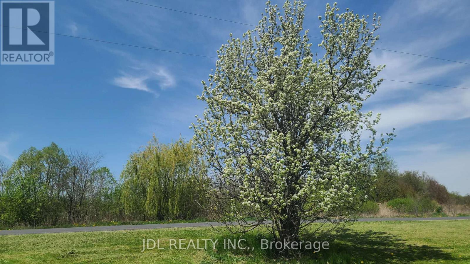 2411 Canal Road, Bradford West Gwillimbury, Ontario  L3Z 2A6 - Photo 17 - N13758100