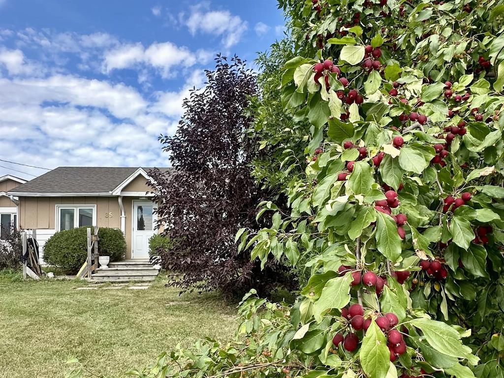 85 Church Avenue, Fannystelle, Manitoba  R0G 0P0 - Photo 20 - 202622574