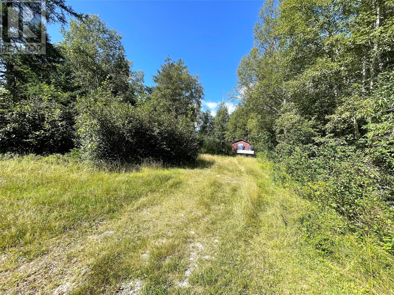 37 Grenfell Heights, Grand Falls-Windsor — photo 5