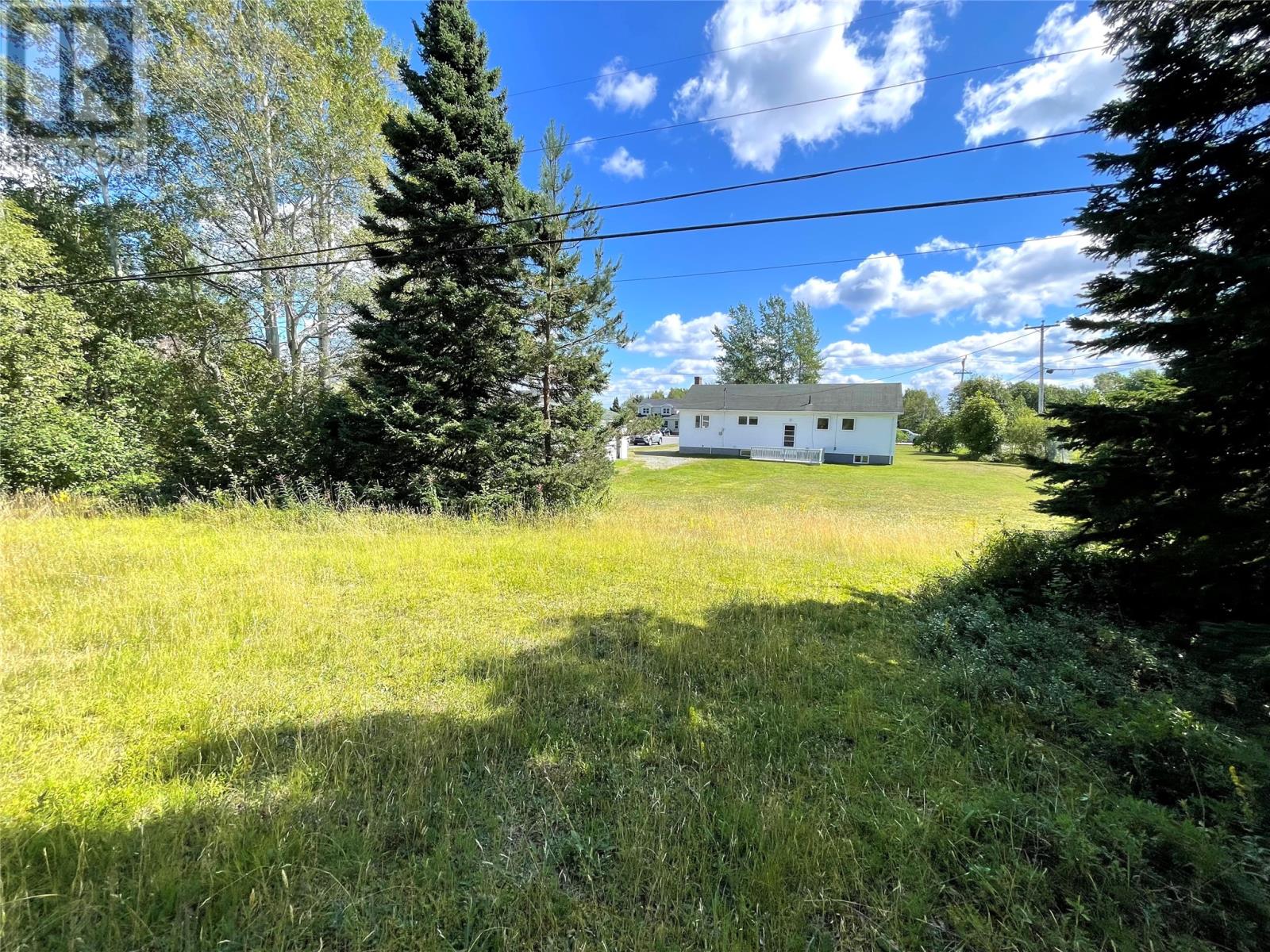 37 Grenfell Heights, Grand Falls-Windsor — photo 6