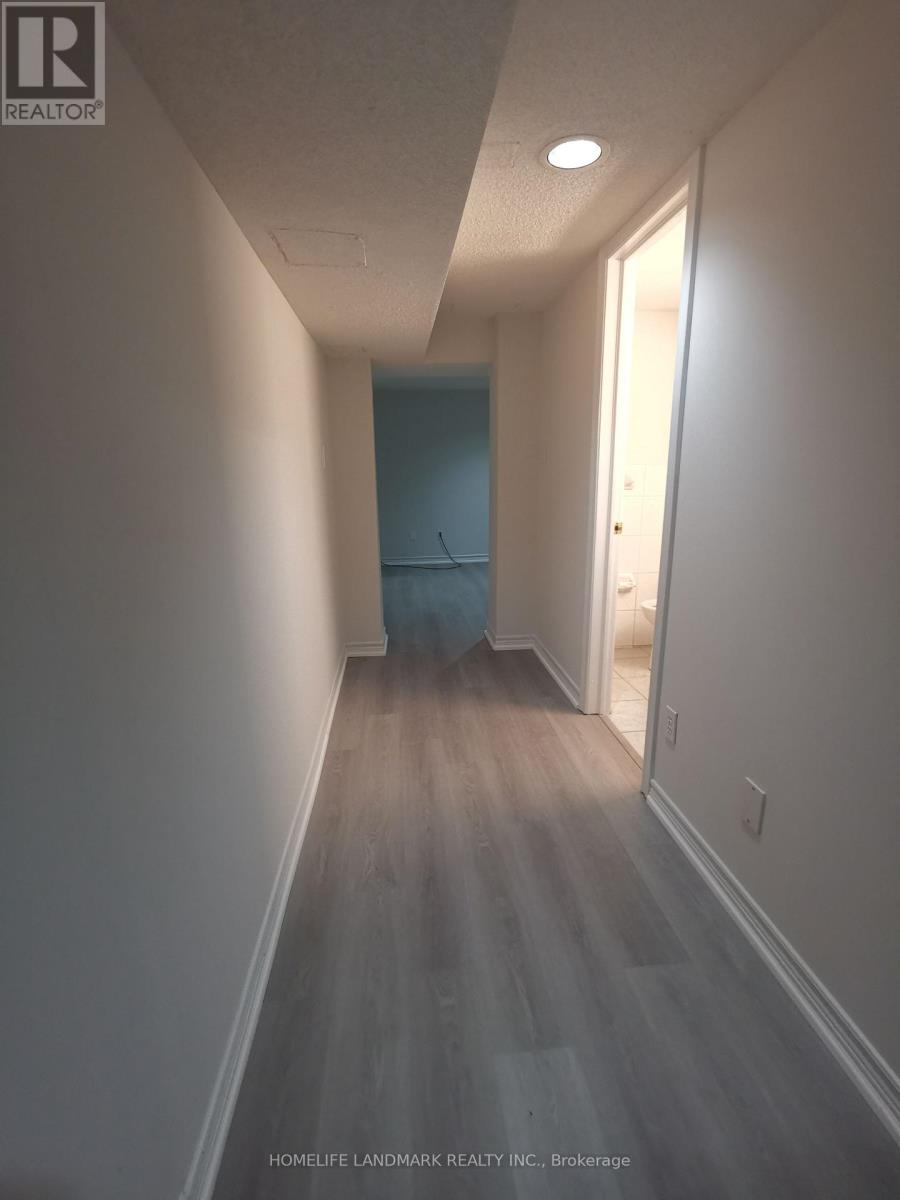 BASEMENT - 288 MAPLE LEAF DRIVE