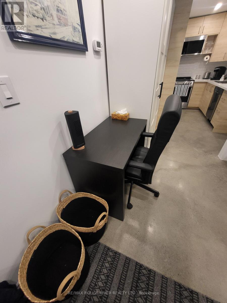 Lower - 6 Lippincott Street, Toronto, Ontario  M5T 2R5 - Photo 11 - C13758370