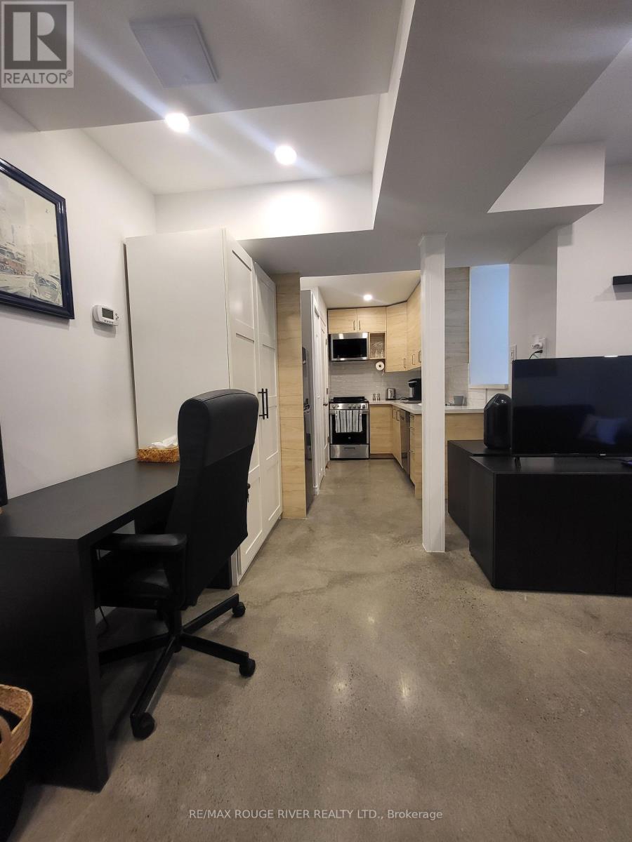 Lower - 6 Lippincott Street, Toronto, Ontario  M5T 2R5 - Photo 12 - C13758370