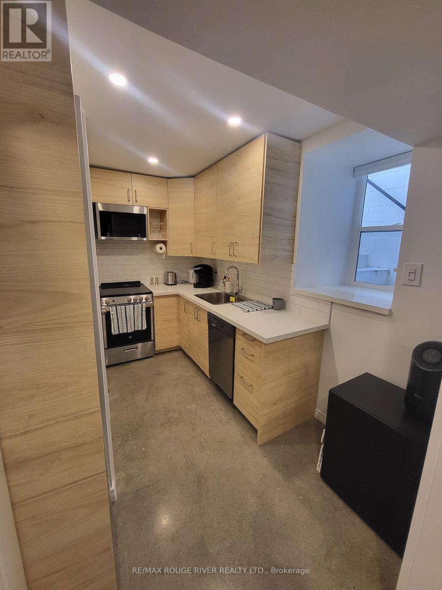 Lower - 6 Lippincott Street, Toronto, Ontario  M5T 2R5 - Photo 13 - C13758370