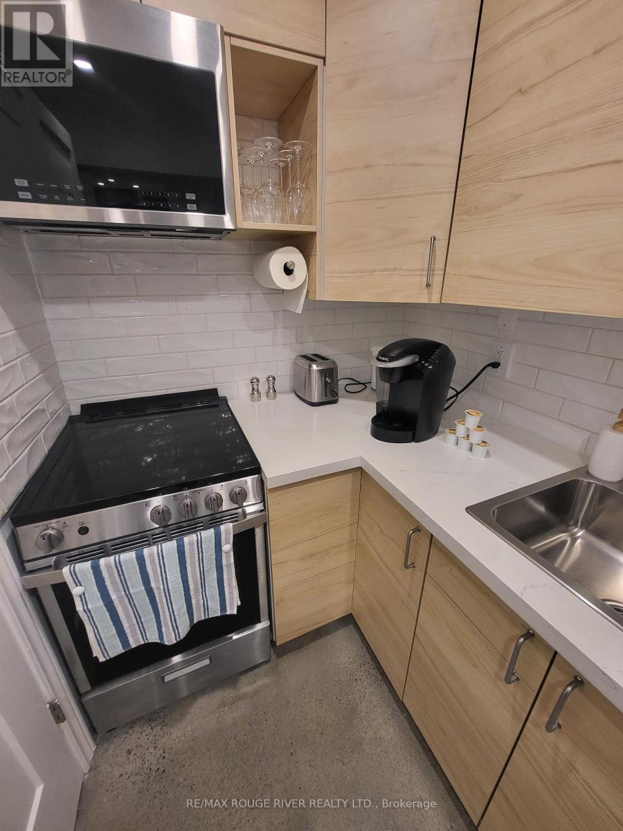 Lower - 6 Lippincott Street, Toronto, Ontario  M5T 2R5 - Photo 15 - C13758370