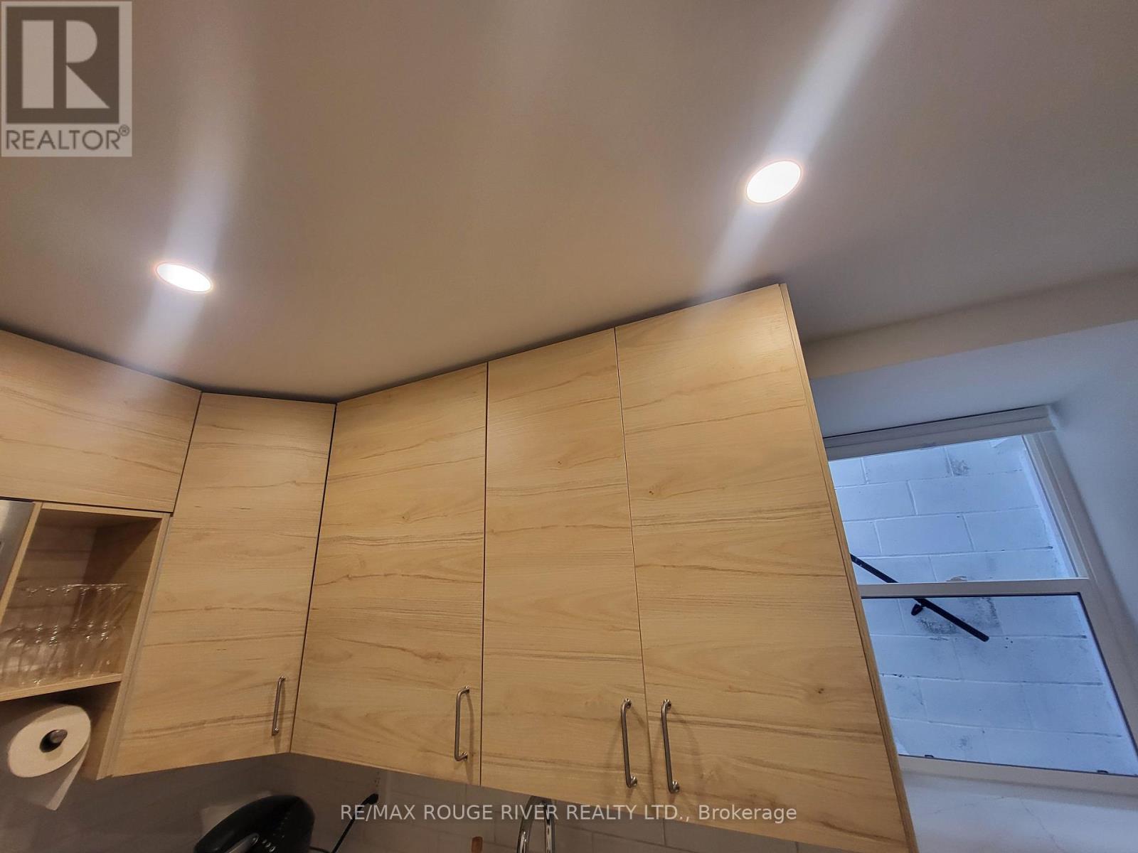 Lower - 6 Lippincott Street, Toronto, Ontario  M5T 2R5 - Photo 16 - C13758370